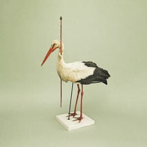 Passepartout Duo @ Casa Montjuïc