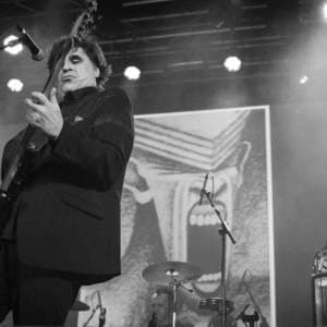 Chameleons @ Mon Madrid