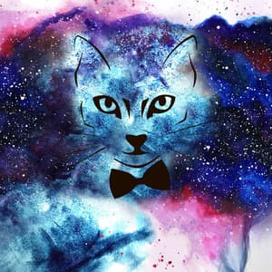 The Motans @ La Sala del Movistar Arena